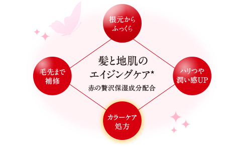 髪と地肌のエイジングケア
