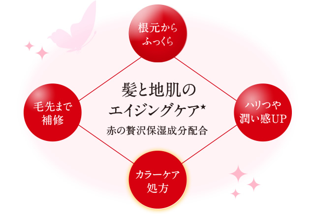 髪と地肌のエイジングケア