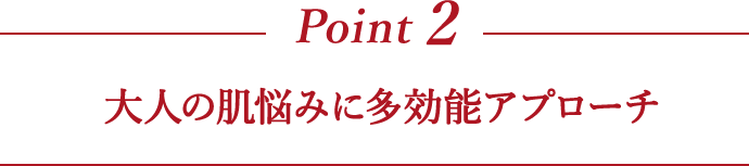 Point2 大人の肌悩みに多効能アプローチ
