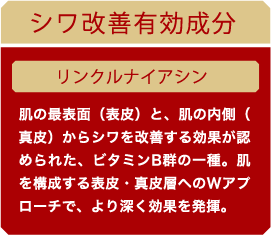 シワ改善有効成分 リンクルナイアシン※1TM 肌の最表面（表皮）と、肌の内側（真皮）からシワを改善する効果が認められた、ビタミンB群の一種。肌を構成する表皮・真皮層へのWアプローチで、より深く効果を発揮。