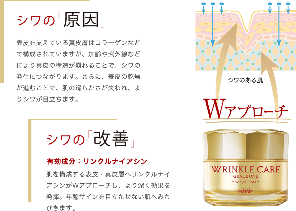 シワの「原因」表皮を支えている真皮層はコラーゲンなどで構成されていますが、加齢や紫外線などにより真皮の構造が崩れることで、シワの発生につながります。さらに、表皮の乾燥が進むことで、肌の滑らかさが失われ、よりシワが目立ちます。シワの「改善」肌を構成する表皮・真皮層へリンクルナイアシンがWアプローチし、より深く効果を発揮。年齢サインを目立たせない肌へみちびきます。