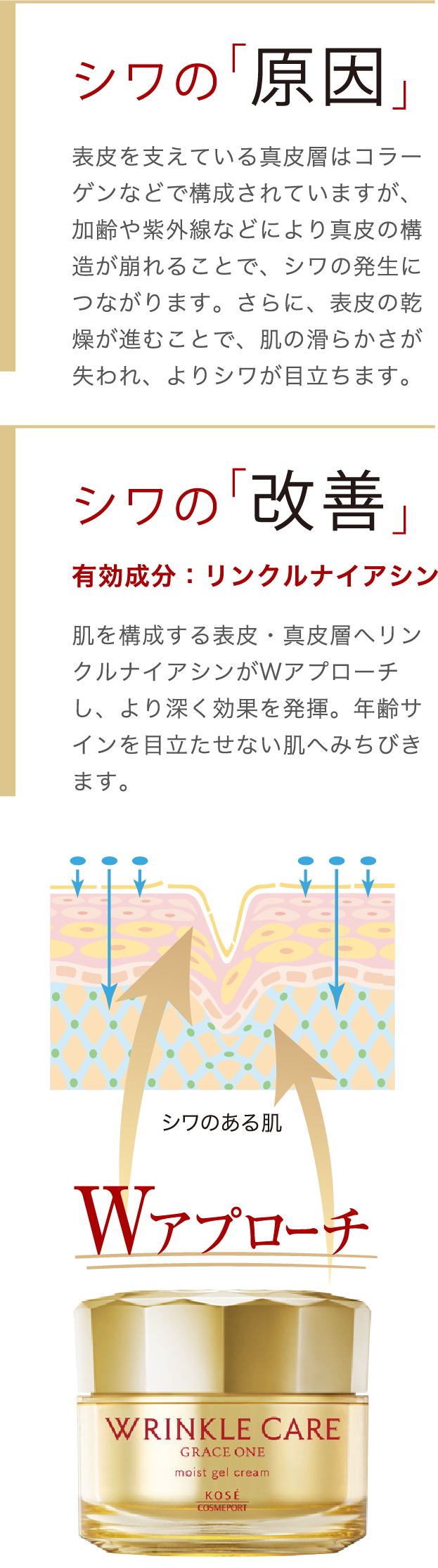 シワの「原因」表皮を支えている真皮層はコラーゲンなどで構成されていますが、加齢や紫外線などにより真皮の構造が崩れることで、シワの発生につながります。さらに、表皮の乾燥が進むことで、肌の滑らかさが失われ、よりシワが目立ちます。シワの「改善」肌を構成する表皮・真皮層へリンクルナイアシンがWアプローチし、より深く効果を発揮。年齢サインを目立たせない肌へみちびきます。