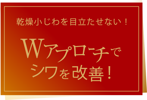 Wアプローチでシワを改善！