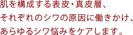 肌を構成する表皮・真皮層、それぞれのシワの原因に働きかけ、あらゆるシワ悩みをケアします。