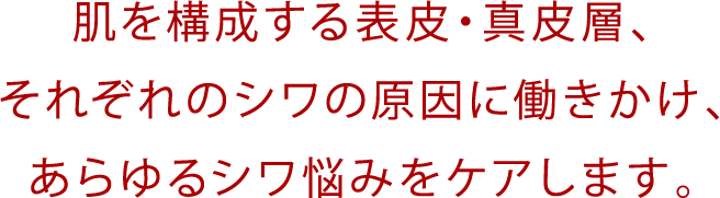 肌を構成する表皮・真皮層、それぞれのシワの原因に働きかけ、あらゆるシワ悩みをケアします。